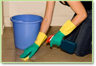 Exit Clean Adelaide Kitchen Clean